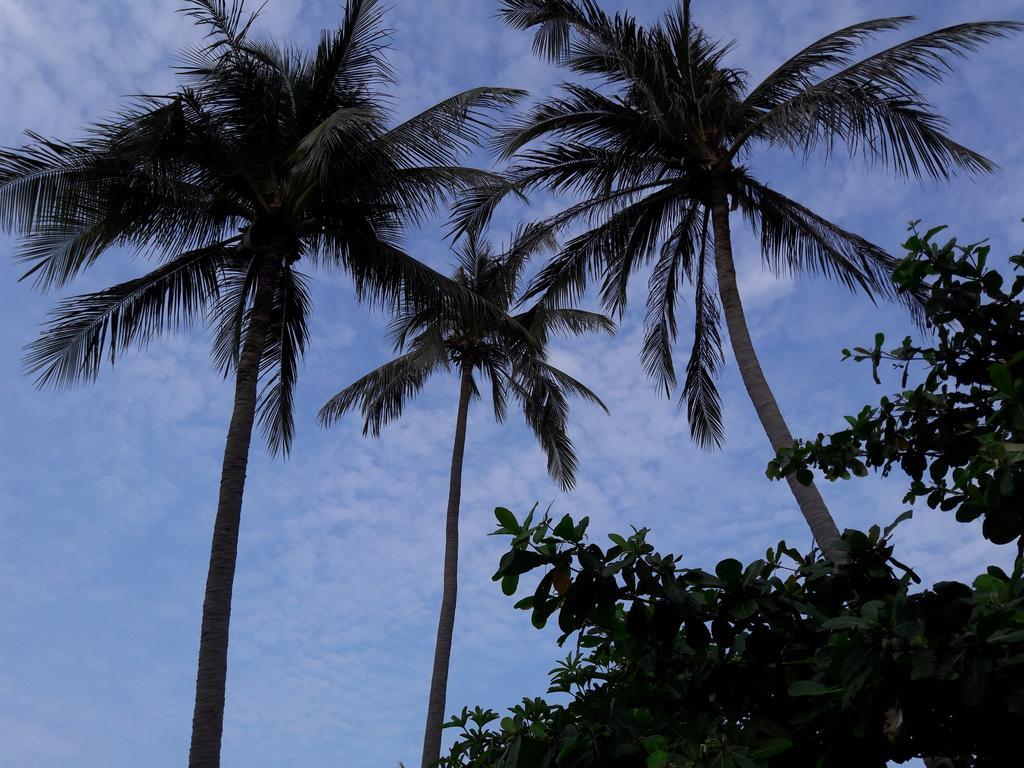 Bach Duong Hotel Phan Thiết Ngoại thất bức ảnh